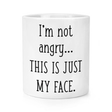 I'm Not Angry This Is Just My Face Makeup Brush Pencil Pot Rude Sarcastic Funny