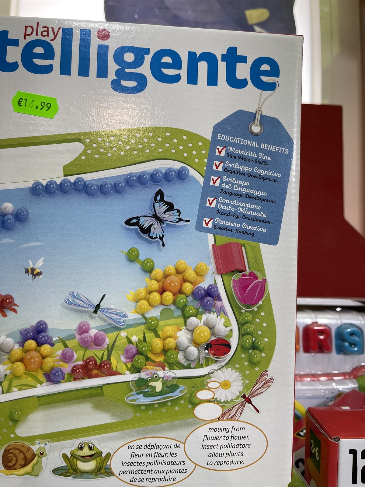 Foto 4 di 8