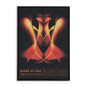 Mahavishnu Orchestra Birds of Fire | eBay