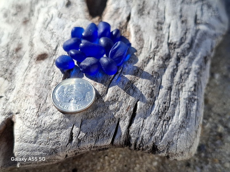 Genuine Surf Tumbled Seaglass