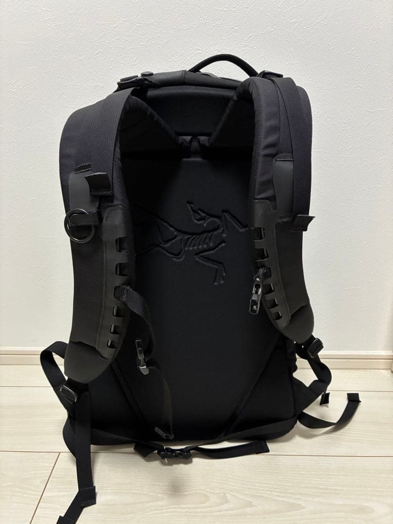 ARC'TERYX Arro 22 Backpack Black Outdoor Daypack Used - Gem