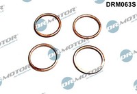 NEU - Dr.Motor Automotive DRM063S Dichtring, Einspritzventil FüR CitroËN