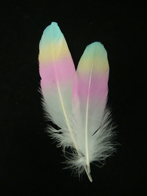 Rainbow Goose Feathers 6-8'' 12 Pc Wedding Millinery Crafts Decoration