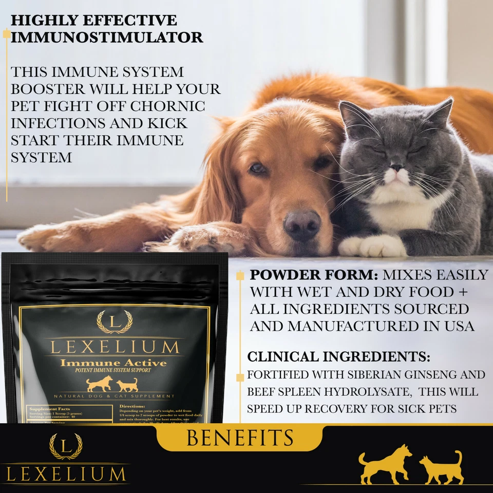 Поддержка иммунной системы для собак и кошек | Помогает бороться с инфекциями и аллергией - Изображение 3 из 4