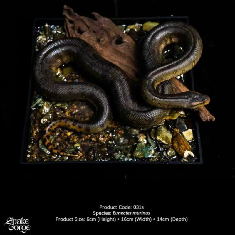 Realistic Green Anaconda Python Resin Figure Statue Craft Decor Collection Gift
