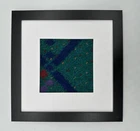 Authentic PDX Airport Portland Oregon Original Carpet Square Framed Mounted