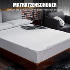 Bild 11 von 12
