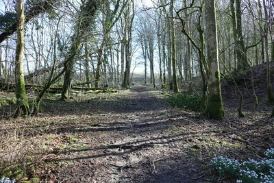 Photo 6x4 Track to Robbers Gate Gatehouse of Fleet  c2018
