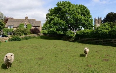 Photo 12x8 Great Rollright's two friendly sheep: ''Let's investigate, ther c2017