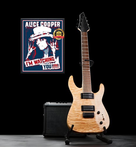 Alice Cooper - I'm Watching You - Metal Sign 11 x 14 - Picture 2 of 4