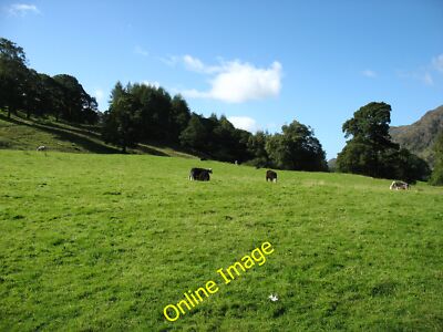 Foto 12x8 Felder südlich von Glen Mary Bridge Hawkshead Hill c2012