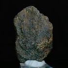 Bild 6 von 8