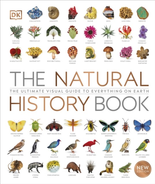 Natural History Book by DK (Hardback Book)