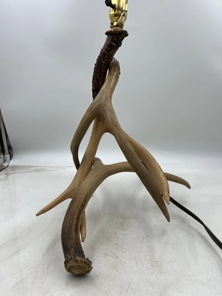 Lámpara de mesa rústica con astas de ciervo decoración de cabaña astas reales iluminación de 22" de alto Foto 3 de 4