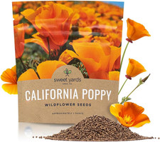California Orange Poppy Wildflower Seeds - Bulk 1 Ounce Packet - over 20,000 Nat 379.20 per gallon