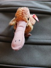 TY Beanie Baby - BEAK the Kiwi Bird 5.5 inch - MWMT's Stuffed Animal Toy