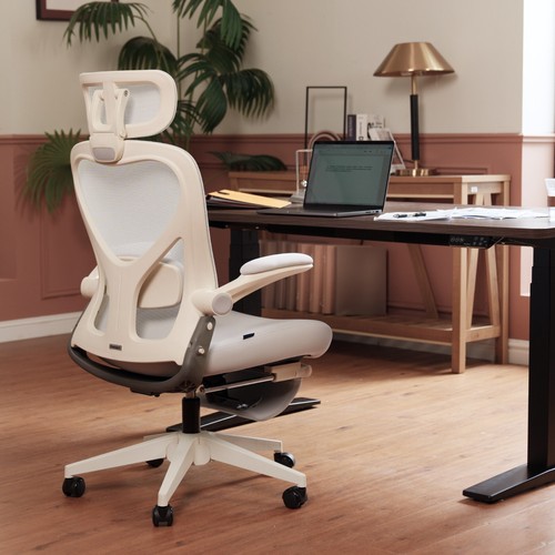 FLEXISPOT Foldex Ergonomic Office Chair with Lumbar Support, Flip-up Armrests - Picture 49 of 61