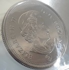 Picture 5 of 5