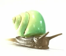 Japan KAIYODO Furuta Vitreum Green Snail Animal Realistic Miniature Mini Figure