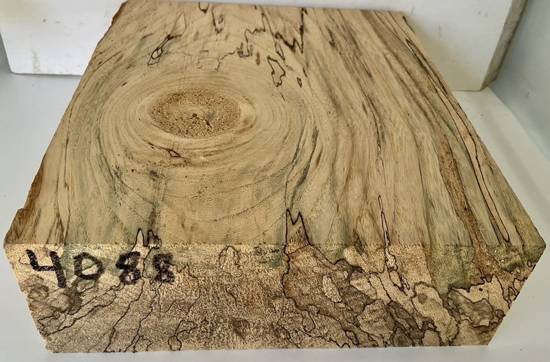 Kiln Dried Spalted Hackberry Bowl Blank turning Wood  2 1/2”x7”x8” 4088