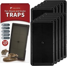 Super Glue Traps 10 Pack for Mice  Snakes, Larger, Heavier Sticky Traps with No