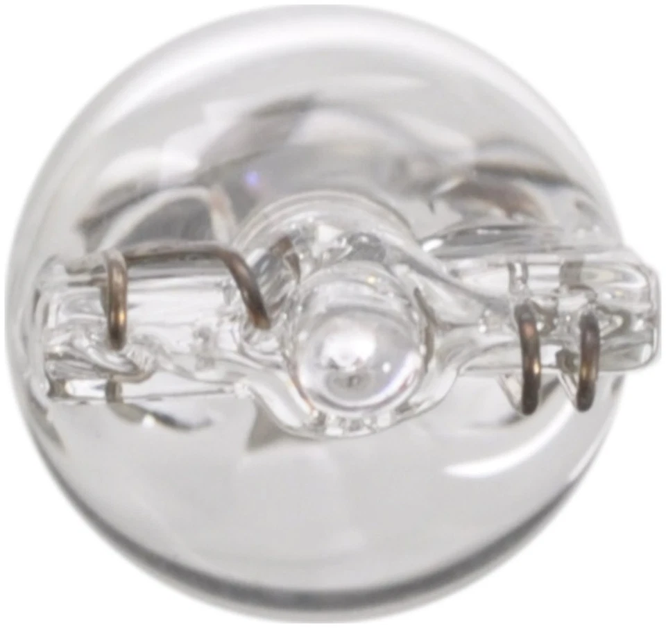 Wagner Lighting BP161 Standard Series BULBS & FLASHERS Foto 2 de 3