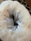 Vintage accessories for women;  faux white rabbit fur "Muff" for girls — photo 5