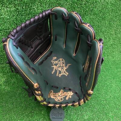Rawlings Glove Pitcher HOH MLB COLOR SYNC 11.75 GR4HMJ205FB