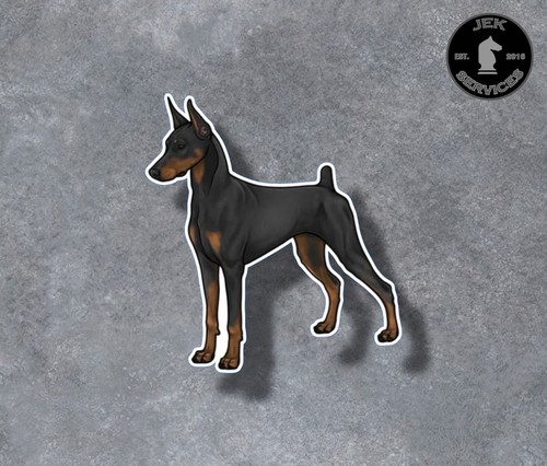 Doberman Sticker (Select your Size) - Picture 6 of 7