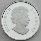 Picture 4 of 12