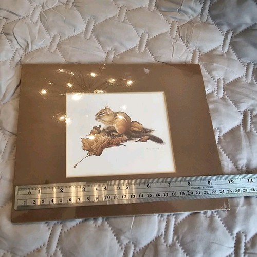 Eastern Chipmunk Martin Glen Loates Matted Color Print 8 X 10 Sealed NEW - Picture 5 of 5