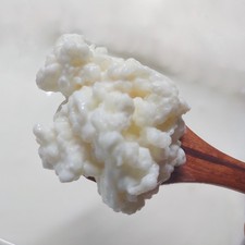 Live Organic Whole Milk Kefir Grains - Reusable Probiotic Starter