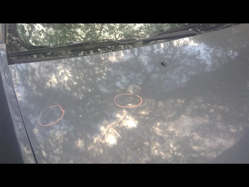 Passenger Front Door With Center Moulding Package Fits 08-12 MALIBU 1066083 Foto 4 de 4