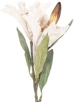 Clayre & Eef 5PL0252BE Dekoration Zweig Mit Blumen Beige-GrüN 12X16X88 Cm