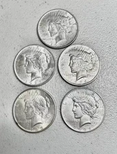 Peace Silver Dollars 1922-1926 Lot of 5 Uncirculated 90% Silver Coin Mixed Year
