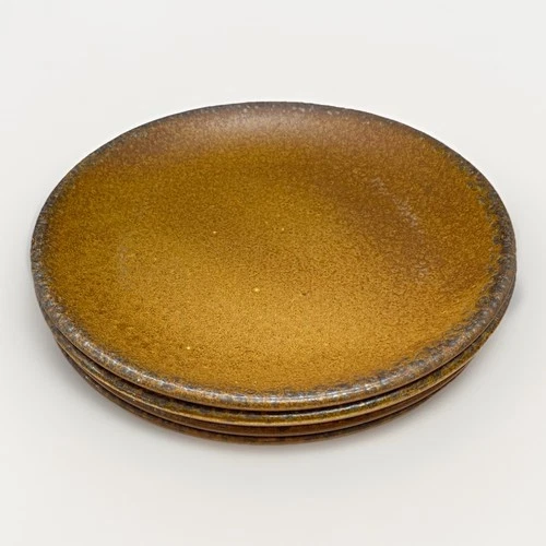 McCoy Set of 4 Canyon Mesa Rustic Cabin Coupe Dinner Plates 10 1/4"