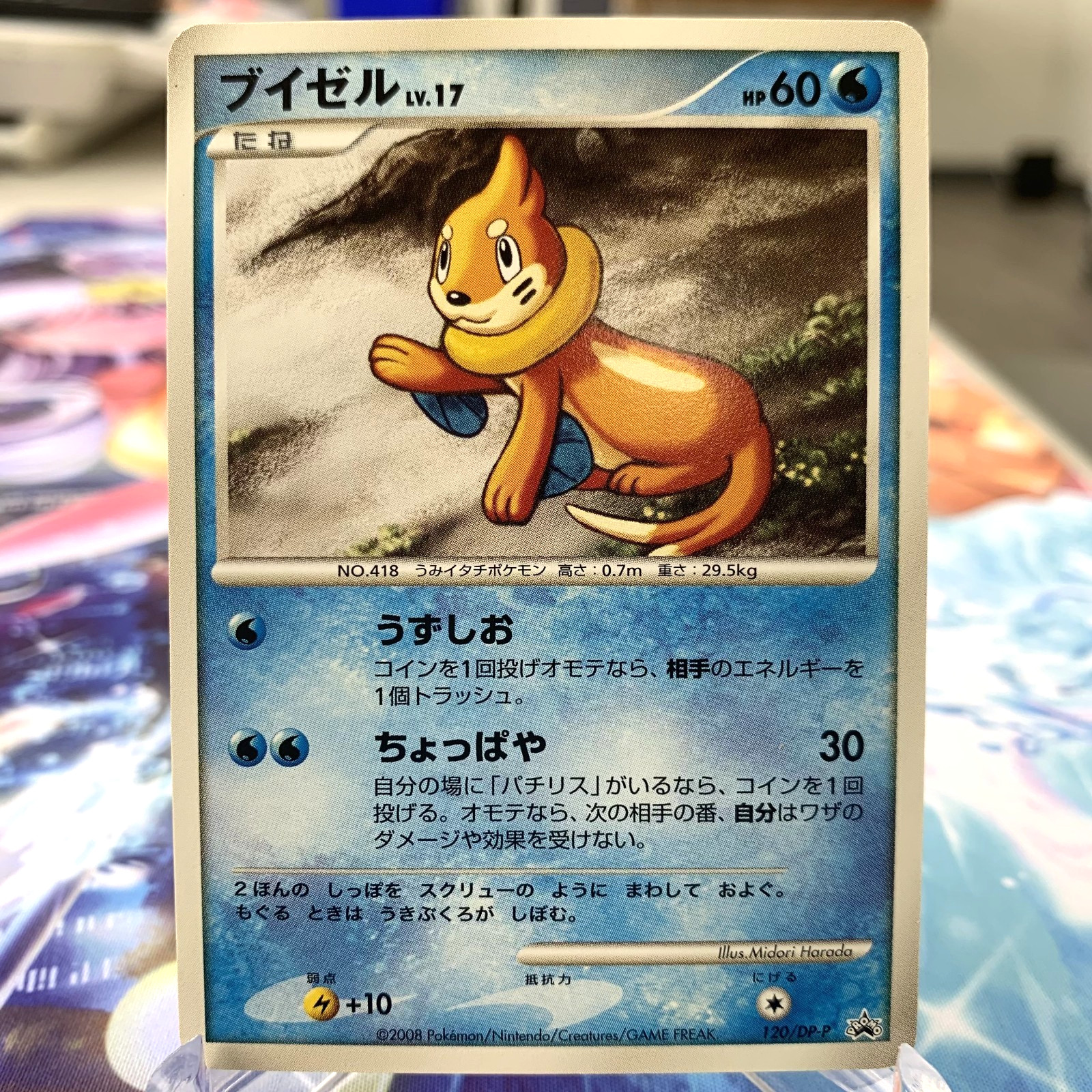 Buizel 120/DP-P Promo Japanese Pokemon Card ~ MP