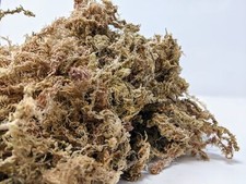 4 Gallon Long Fiber New Zealand Sphagnum Moss 20oz 460 Grams 