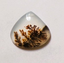 15.55 Cts Natural Shazar Dendritic Agate Cabo...