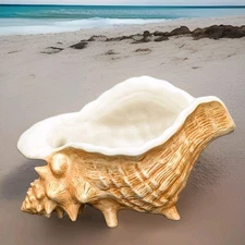 Trader Vic's Conch Shell Scorpion Bowl For Two Tiki Mug 10" x 7" Planter 2018
