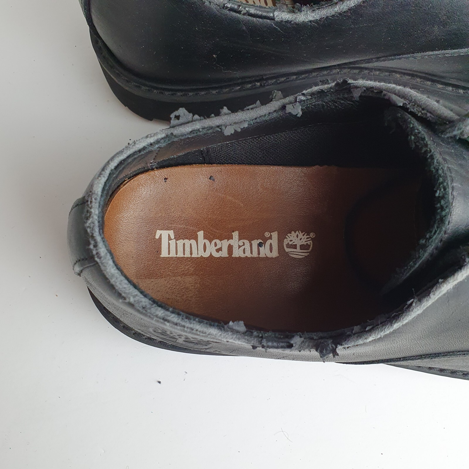 timberland earthkeepers stormbucks