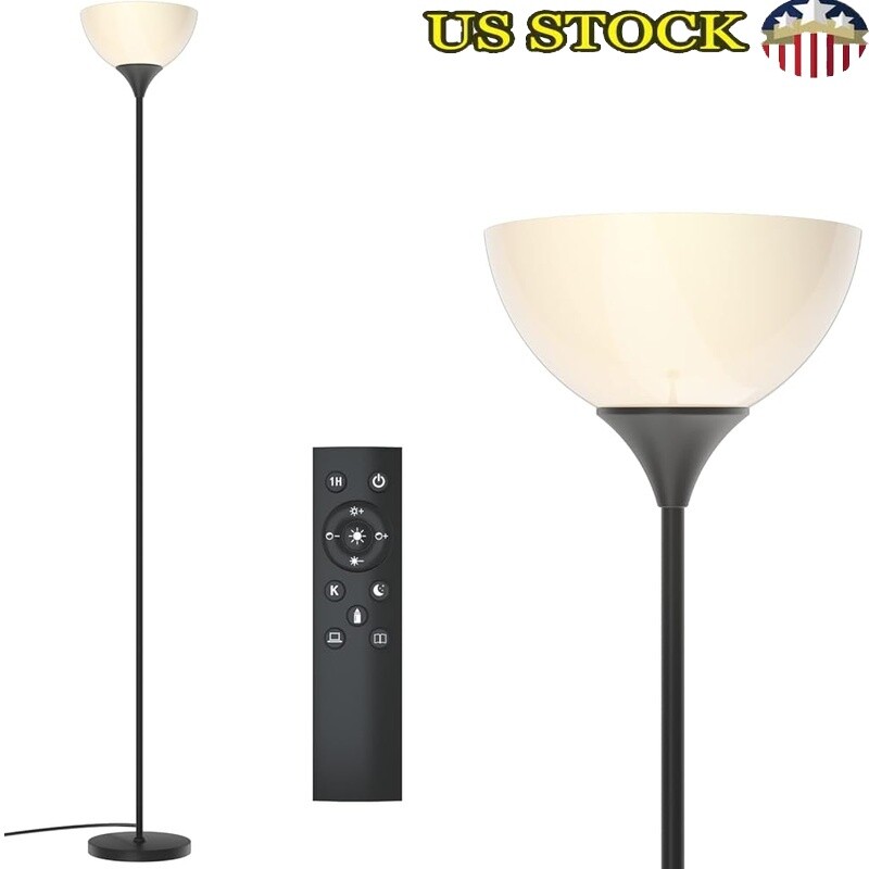 Dimmable Floor Lamp Remote Control Adjustable Brightness Color Temperature Bulb