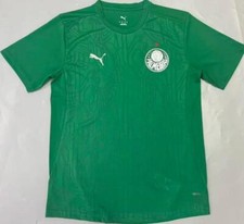 JERSEY SOCIEDADE ESPORTIVA PALMEIRAS Mens Green 2025