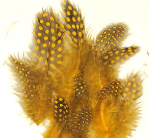 Spotted Guinea Hen Feathers 1-4" Body Plumage ORANGE dyed 1/4 oz bag