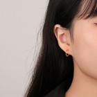 Foto 11 di 12