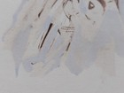 Bild 8 von 8