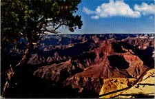 Grand Canyon National Park Arizona Postcard