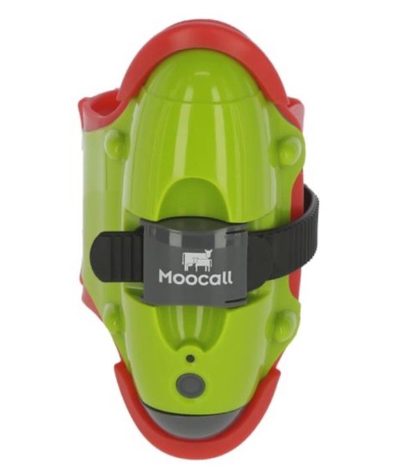 Moocall Calving Sensor Text Alert Device Moo Call Cow Calf FREE TRACKED P&P
