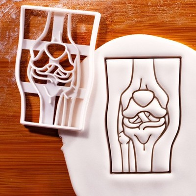 Kniegelenk Anatomie Ausstecher - TKR ACL Orthopädische Chirurgie Get well medical