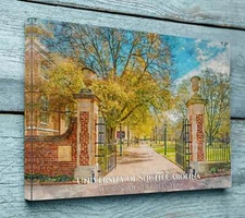 University of South Carolina watercolor. Graduation gift, University of South C